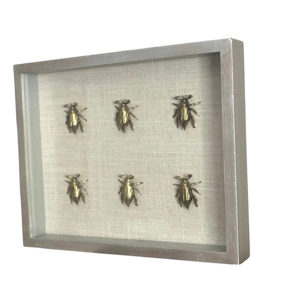 Brass Beetle Shadow Box Wall Art – Framed Insect Display - Picture 2 of 3